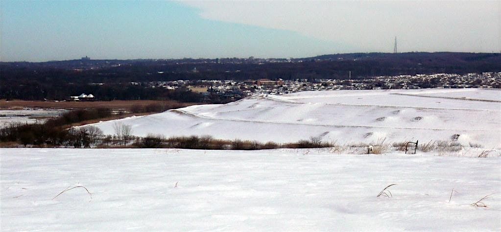 Freshkills Park Winter Photography Tour