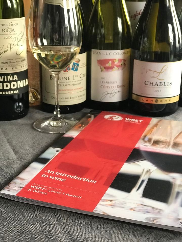 Oslo Wine School WSET Level 1 in Wine, Vinoteket, Oslo, 7 January 2023