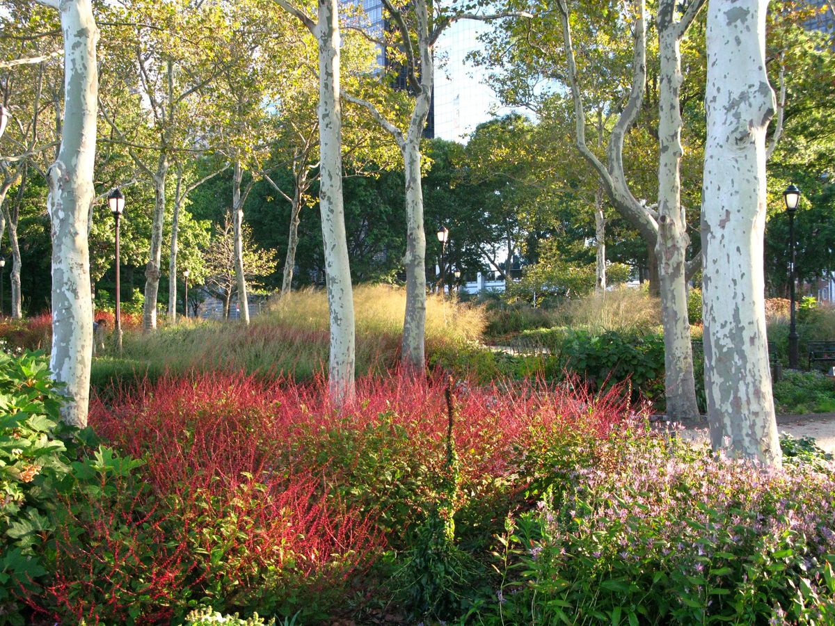 Workshop at The Battery: Growing Low Maintenance Perennials