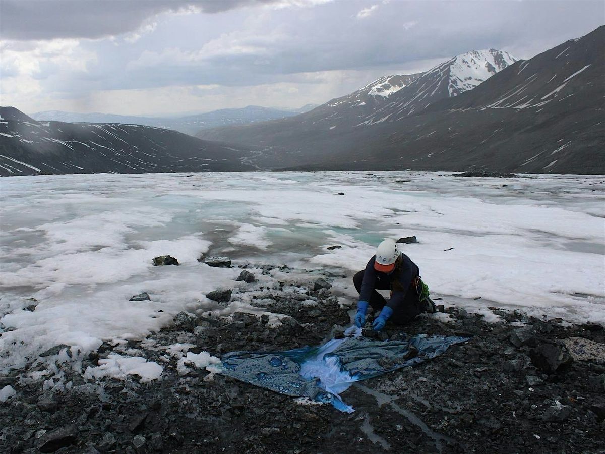Remote Sensing: Artists in Conversation
