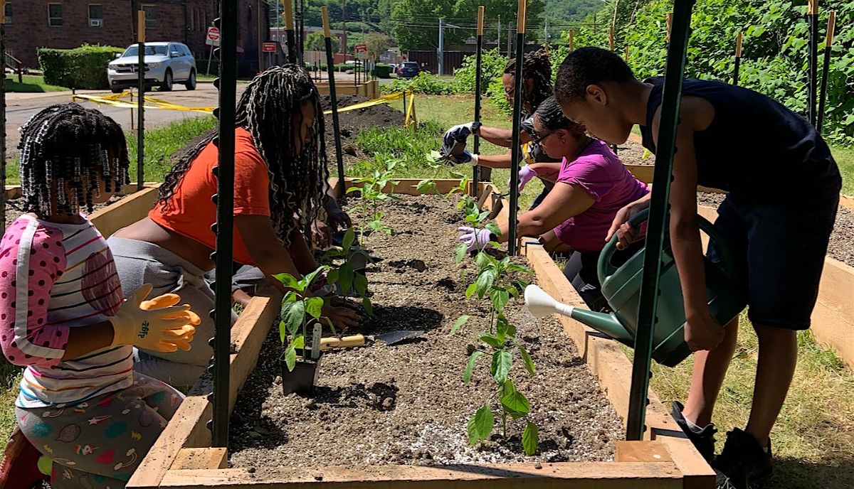 Organic Gardening Basics for Community Gardens