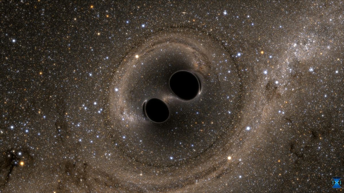 LIGO Staff Panel "Behind the Detections"