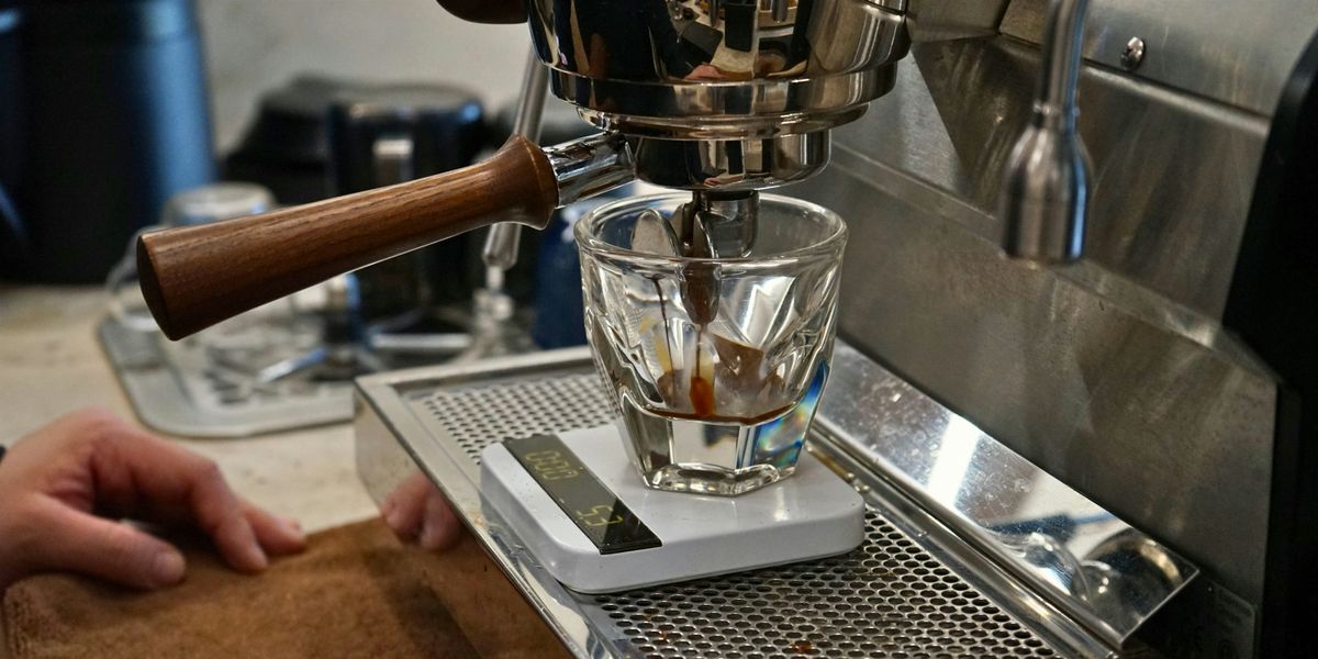 Espresso Intermediate