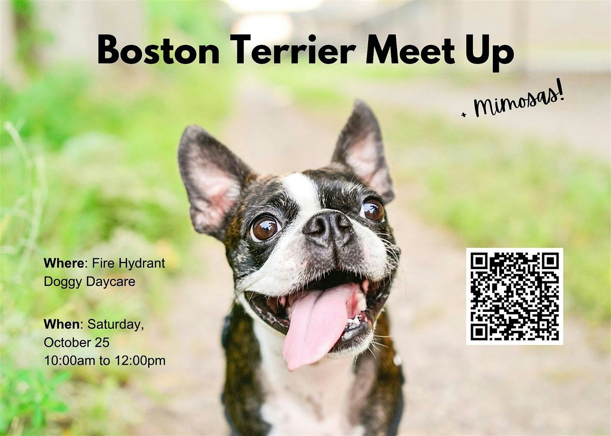 Boston Terrier Social + Mimosas!