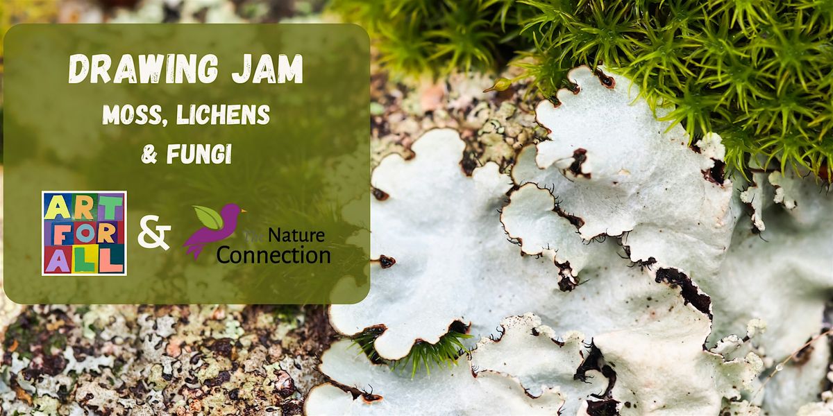 Drawing Jam with The Nature Connection - Moss, Lichen & Fungi