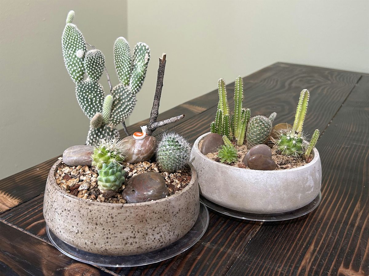Cactus Garden Building Workshop at Moss Houseplants