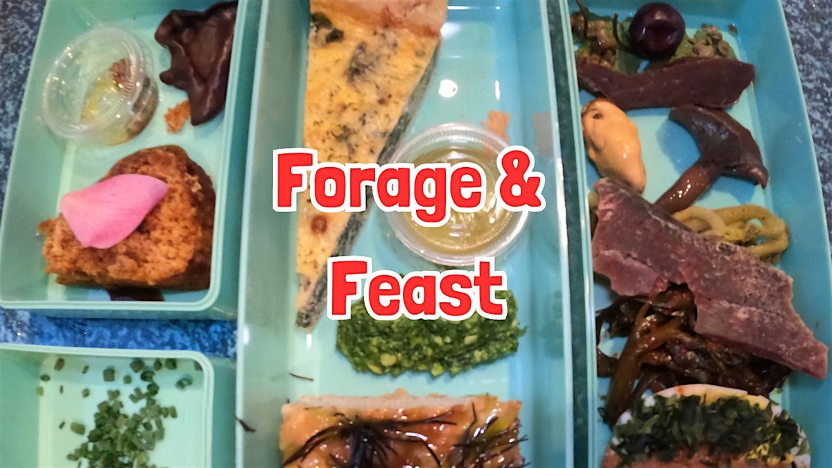 FORAGE & FEAST in The Forest Of Bowland (Lancashire)