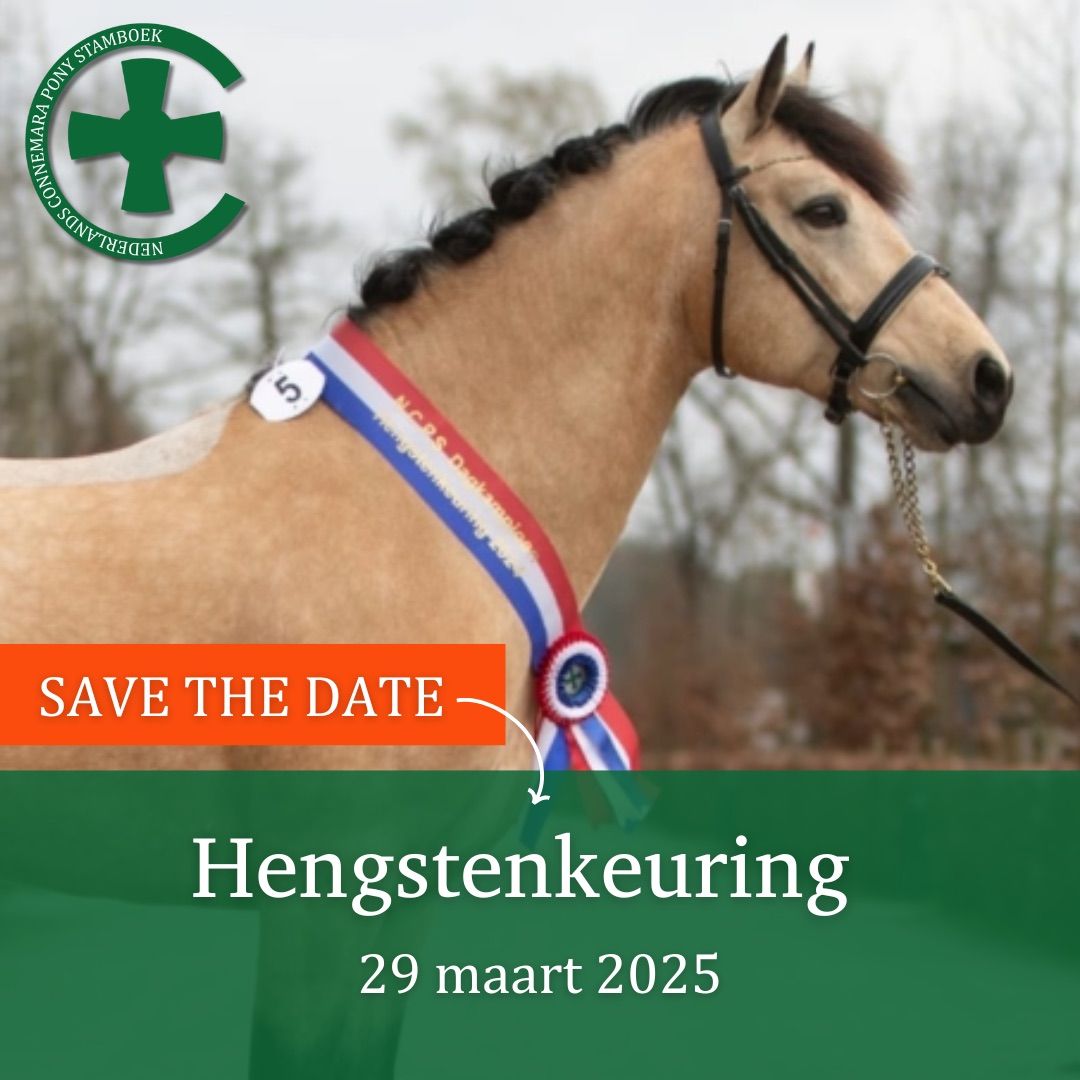 Hengstenkeuring + ibop