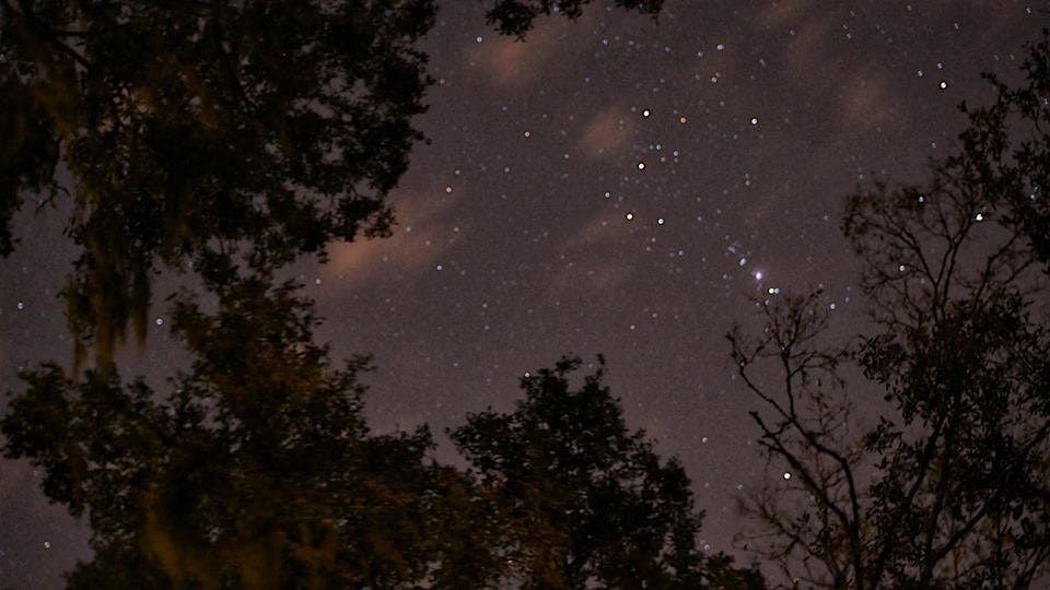 Night Hike in the Preserve