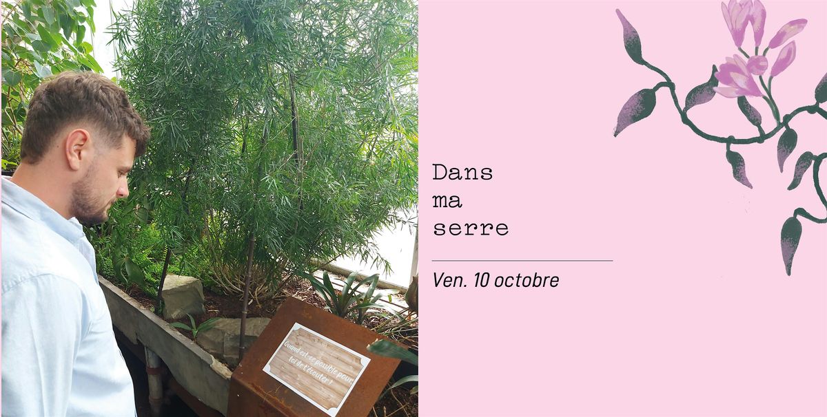 Dans ma serre - Par Guillaume Decroupet