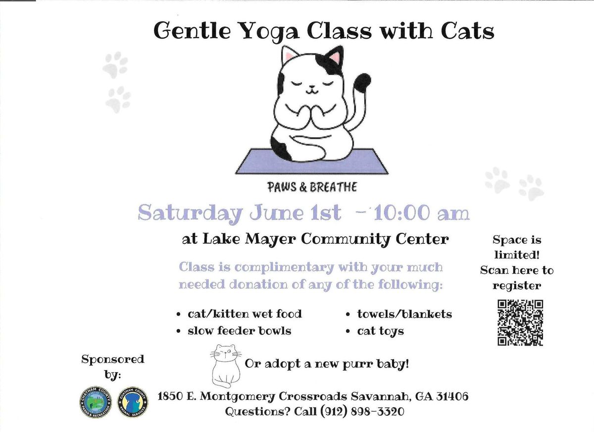 Gentle Yoga with Cats
