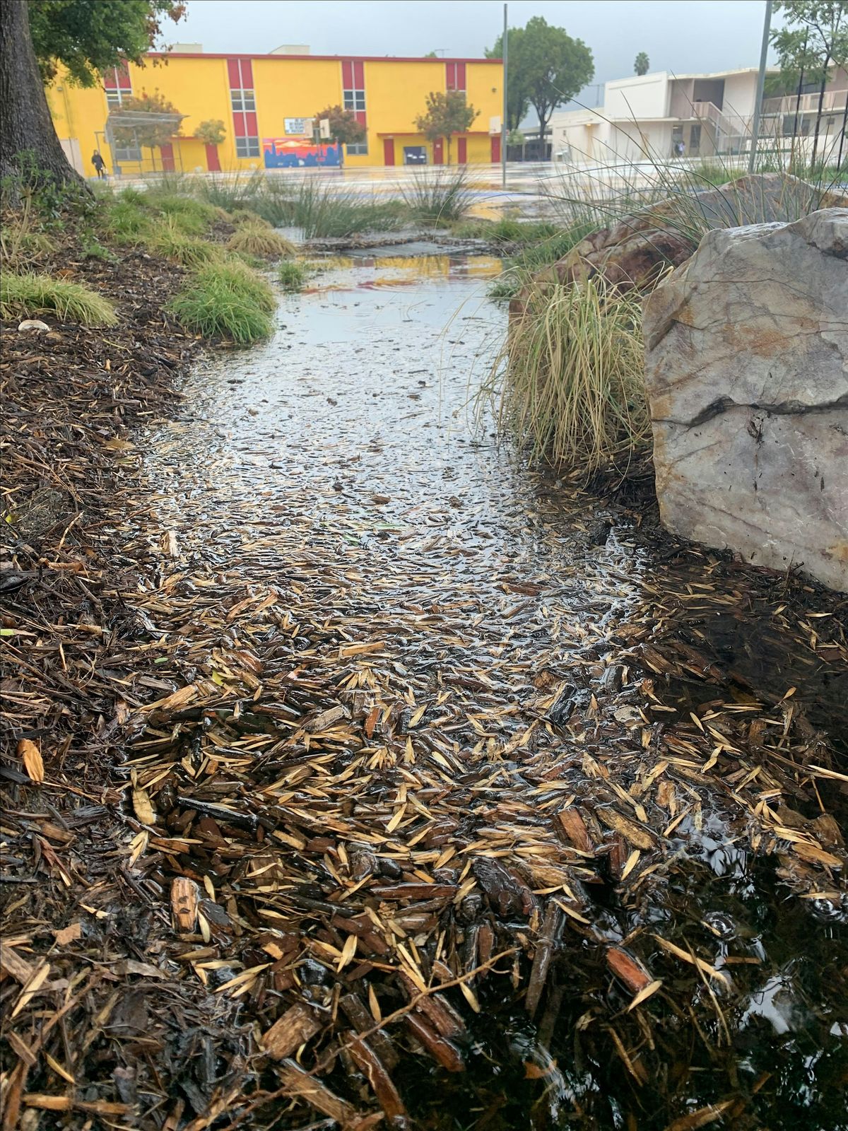 Runoff to Resilience Symposium: Stormwater Harvesting on School Campuses