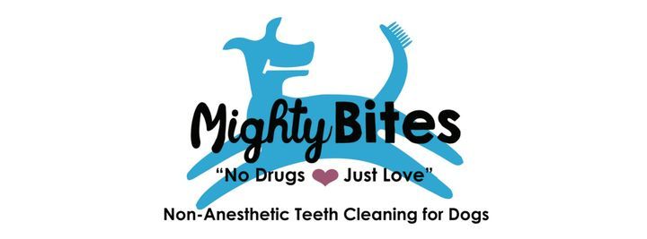 Non-Anesthetic Teeth Cleaning for Dogs