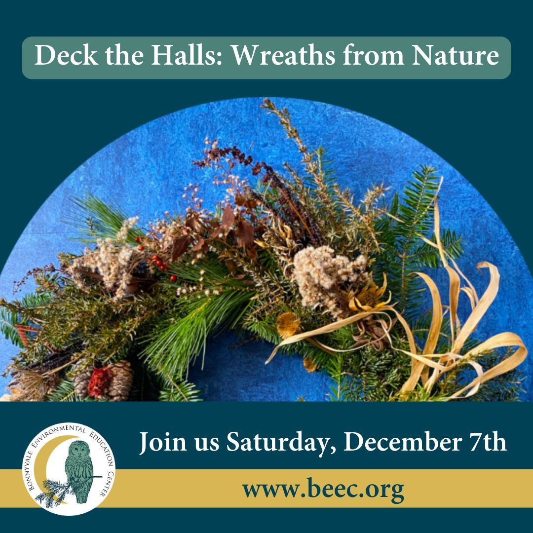 Deck the Halls: Wreaths from Nature