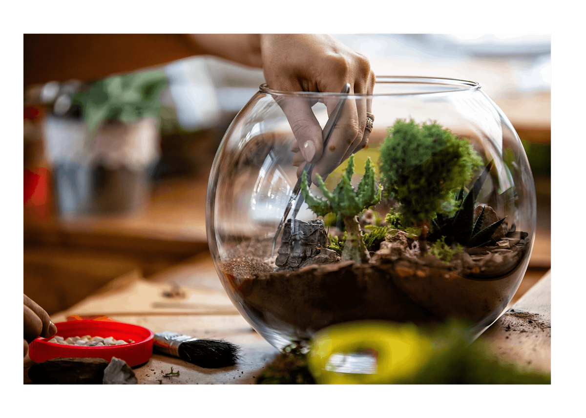 Terrariums & Margaritas