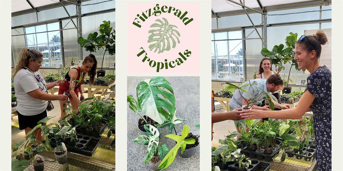 Pop-Up Stores: Fitzgerald Tropicals & DFW Plant Collective