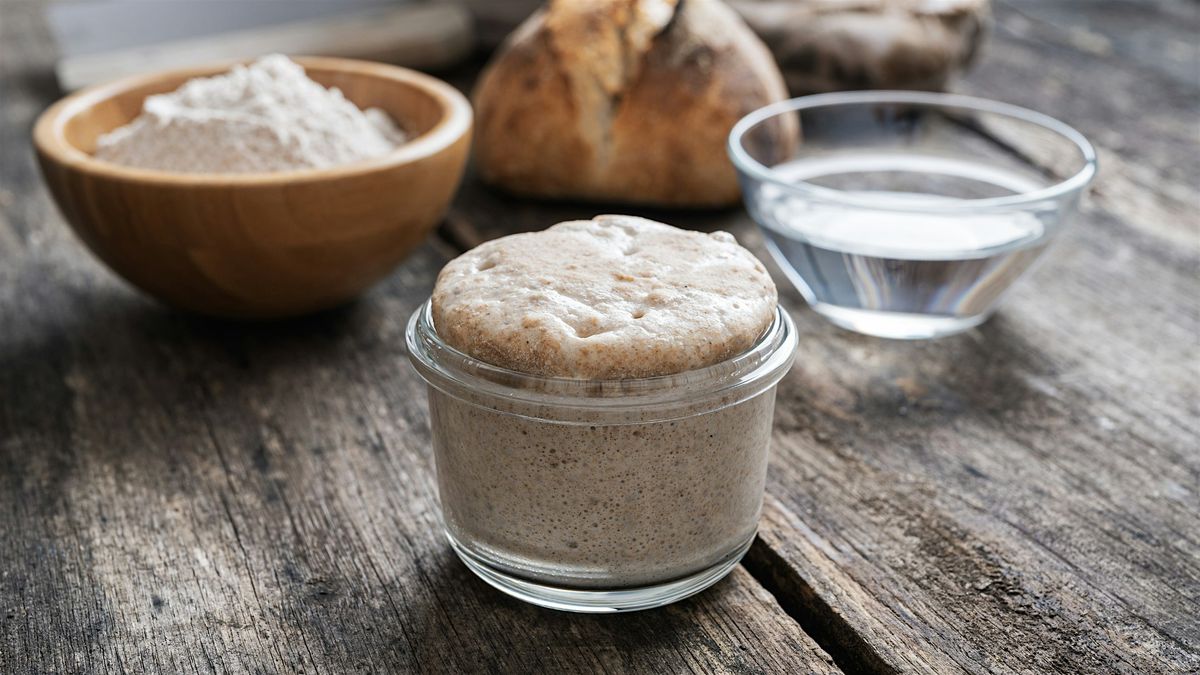 The Joys of Sourdough