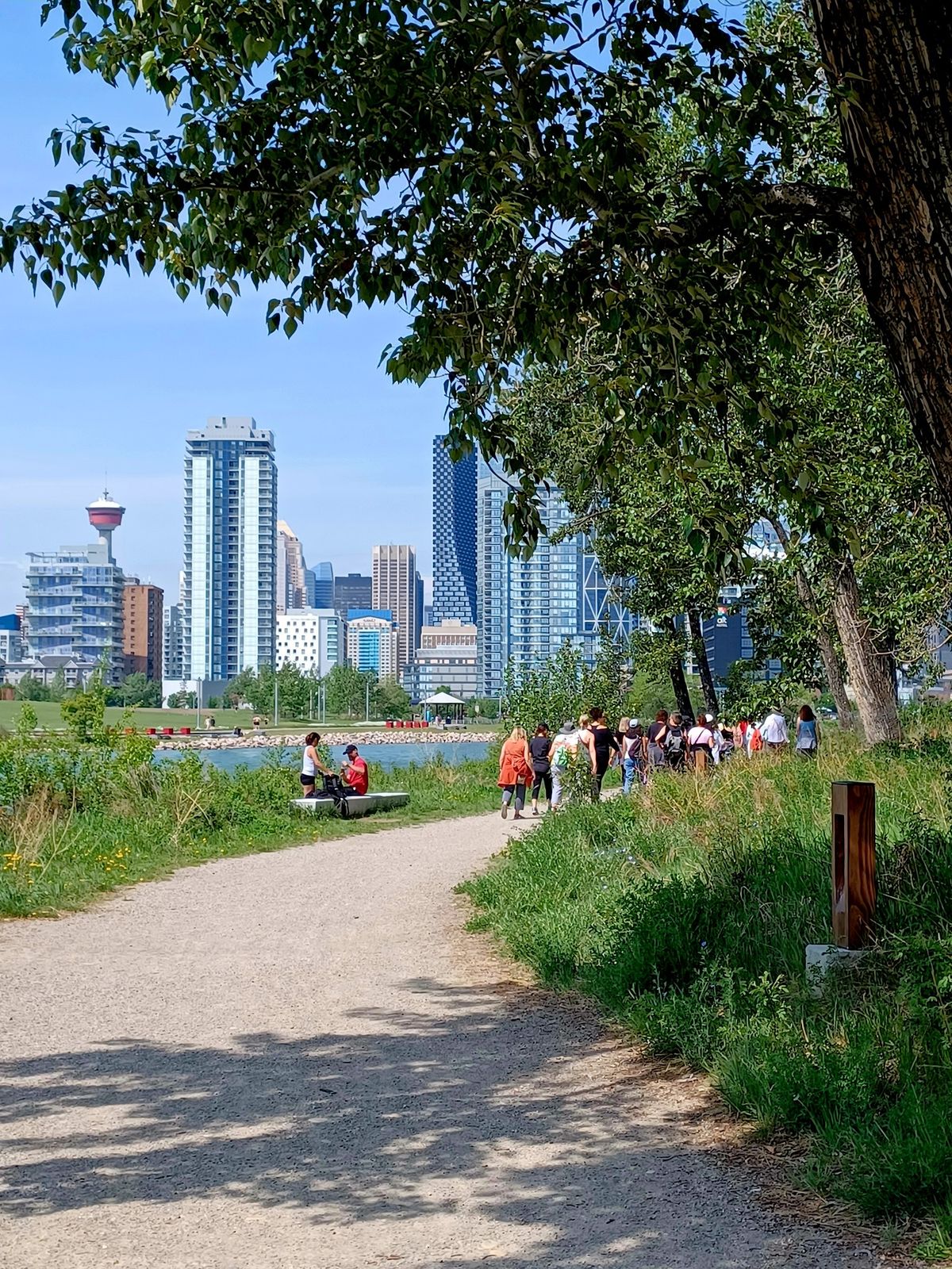 At 1 pm next Sunday, walk Calgary's Bow River Pathway. Newcomers are welcome. Just show up.