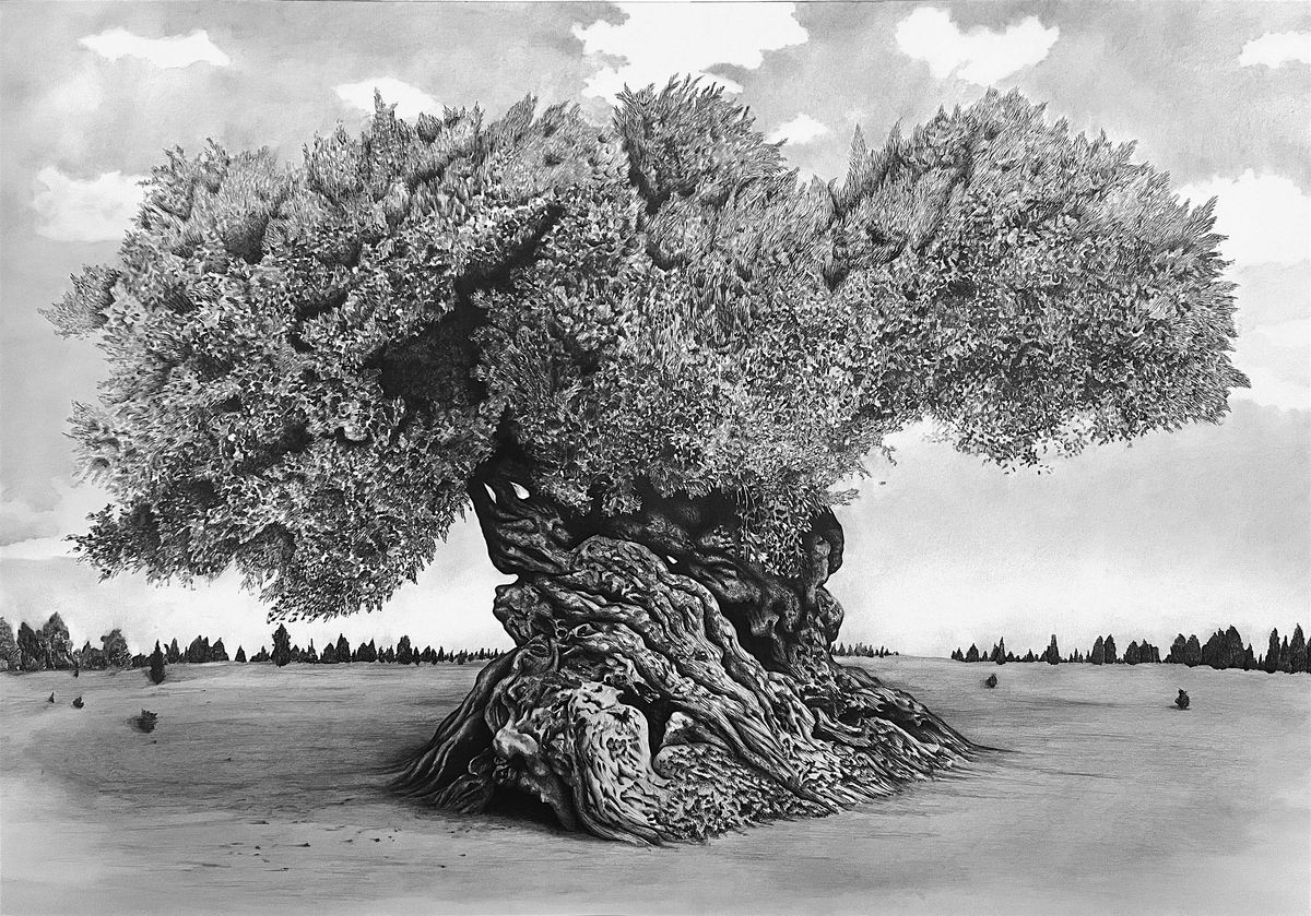 This Sacred Ground: Stories from Soil and Scripture