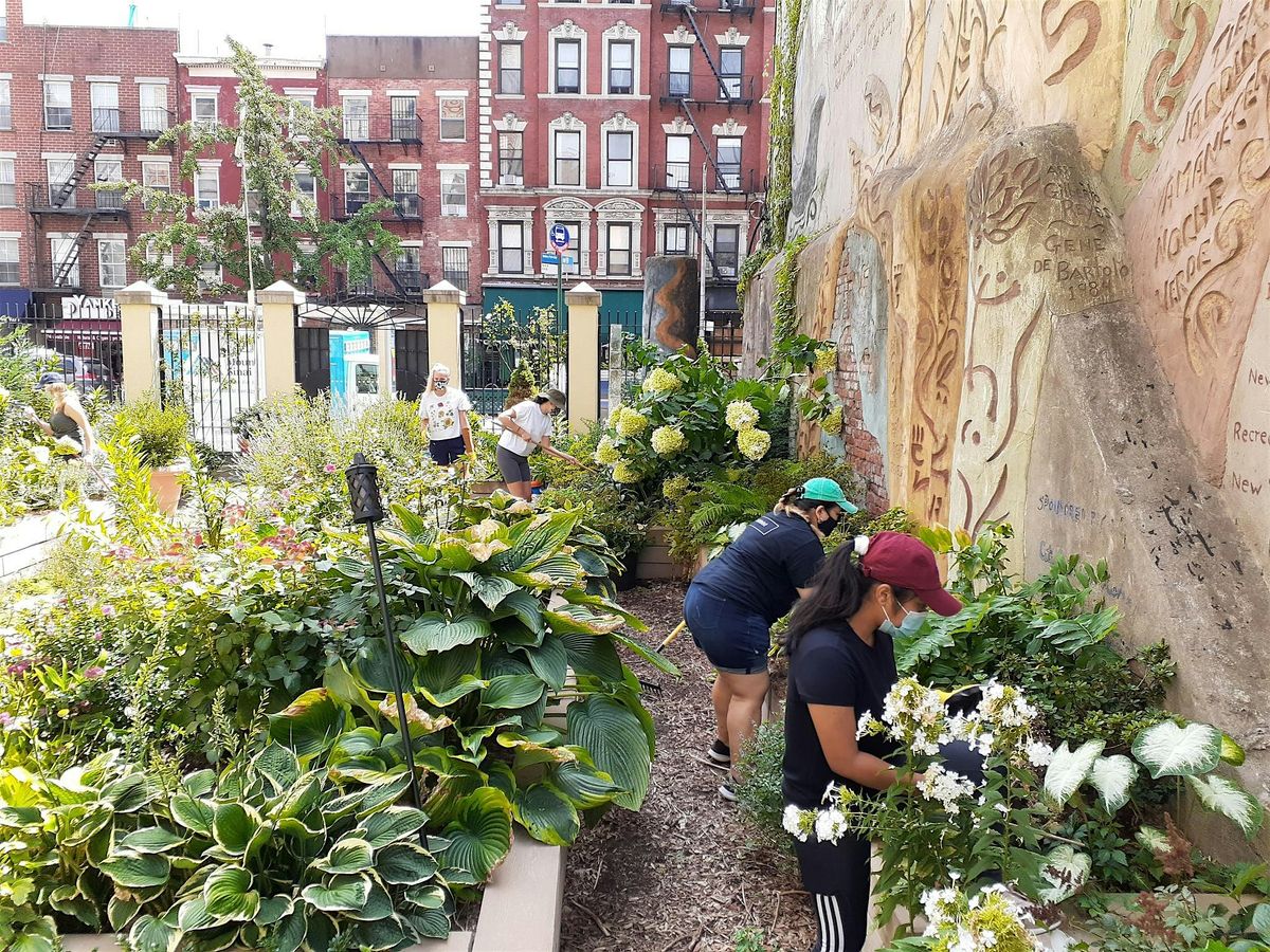 Carmen Garden Community Garden Volunteer Days