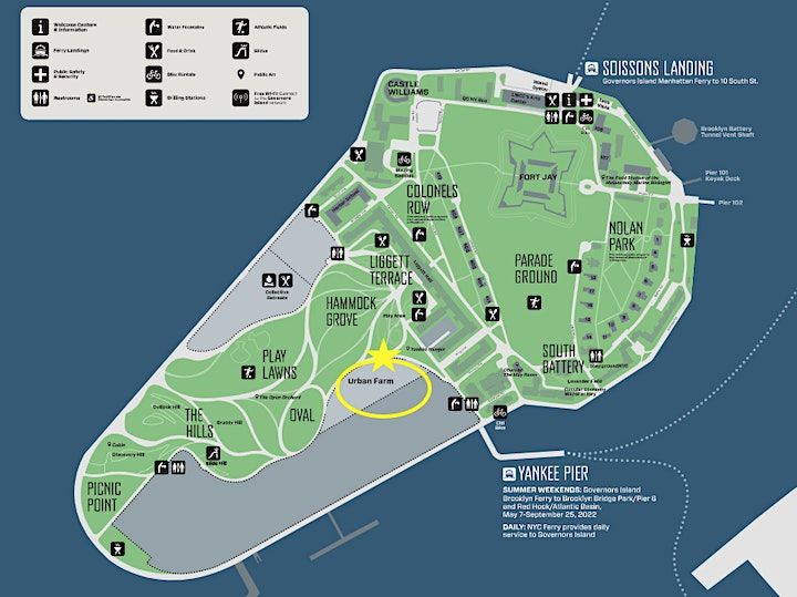 City Nature Challenge on Governors Island, Governors Island, New York, 29 April 2023
