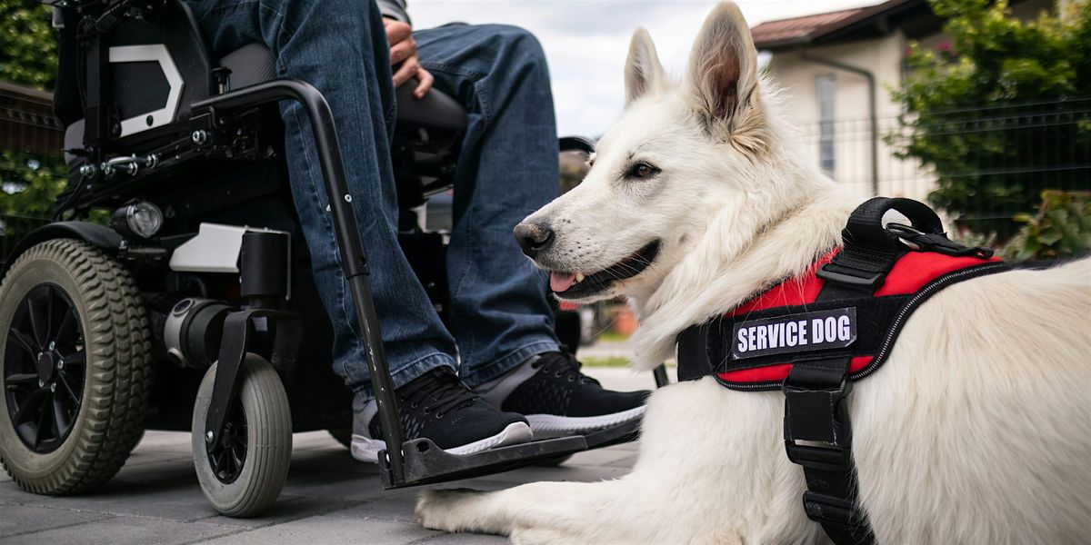 Service Animals in Healthcare