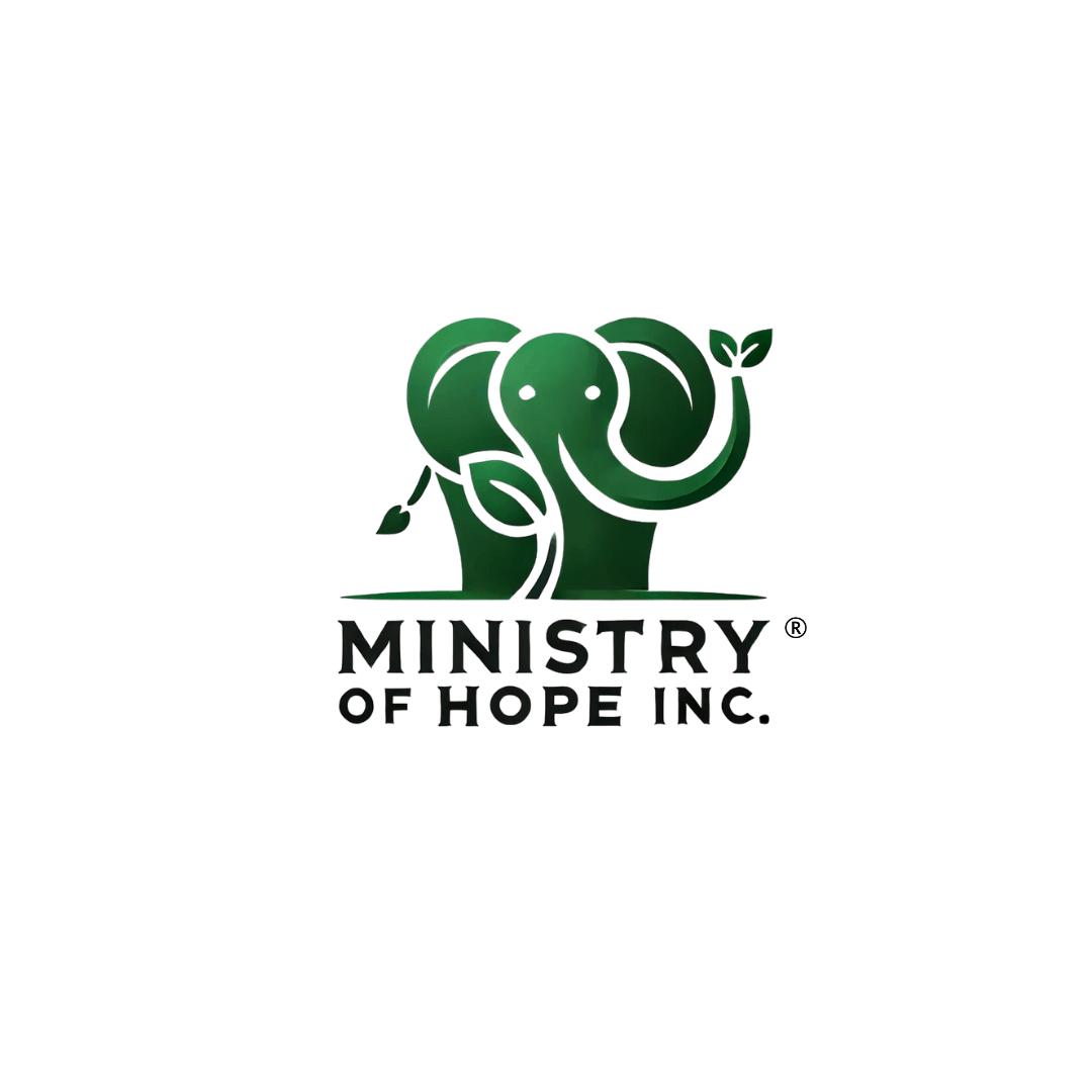 Ministry of Hope Lunch and Learn