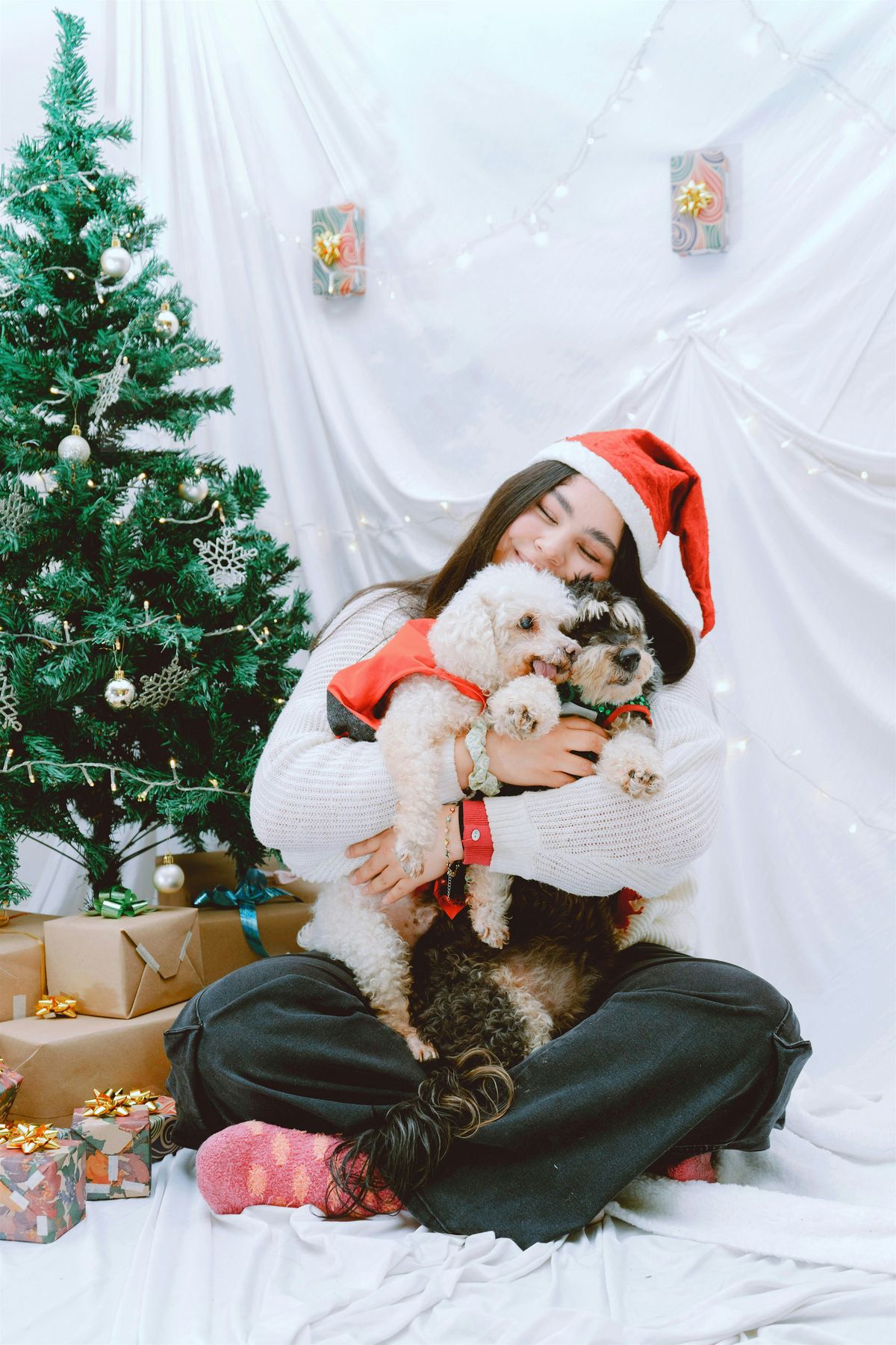 Pet Photos with Santa @ The Bloc