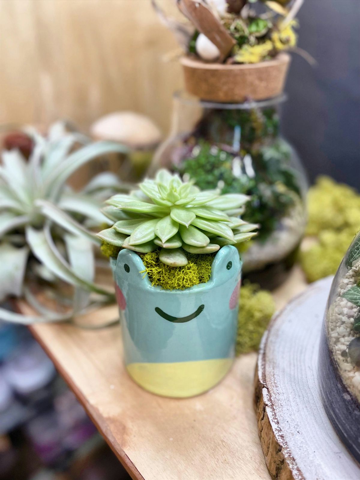 Pottery Workshop: Pet Plant Pot