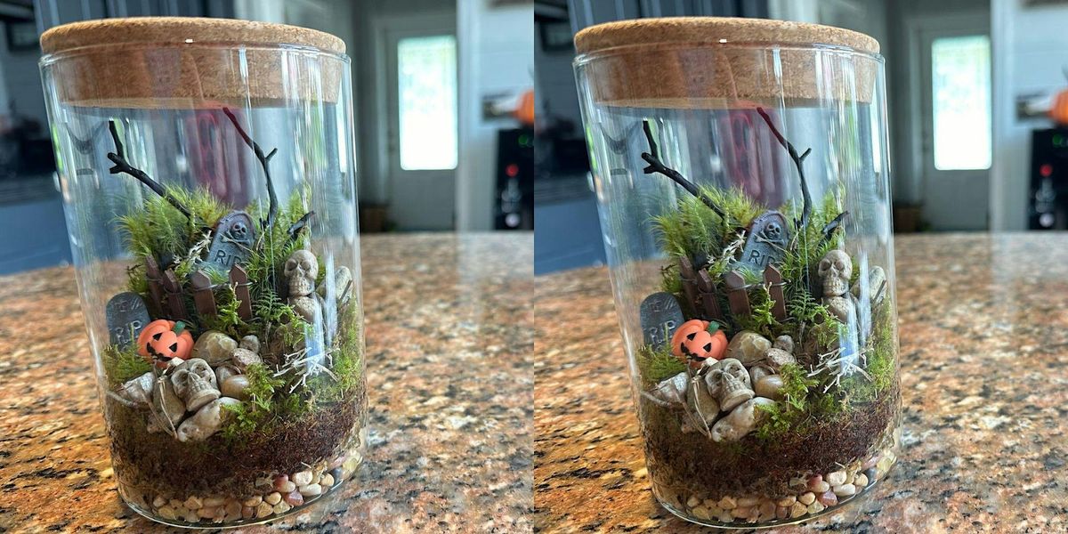 Make + Take: Spooky Terrarium