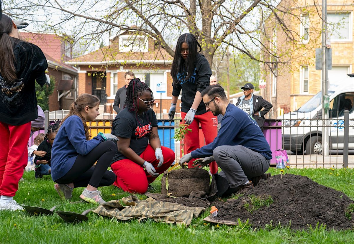 Blue Island Oaktober Tree Planting