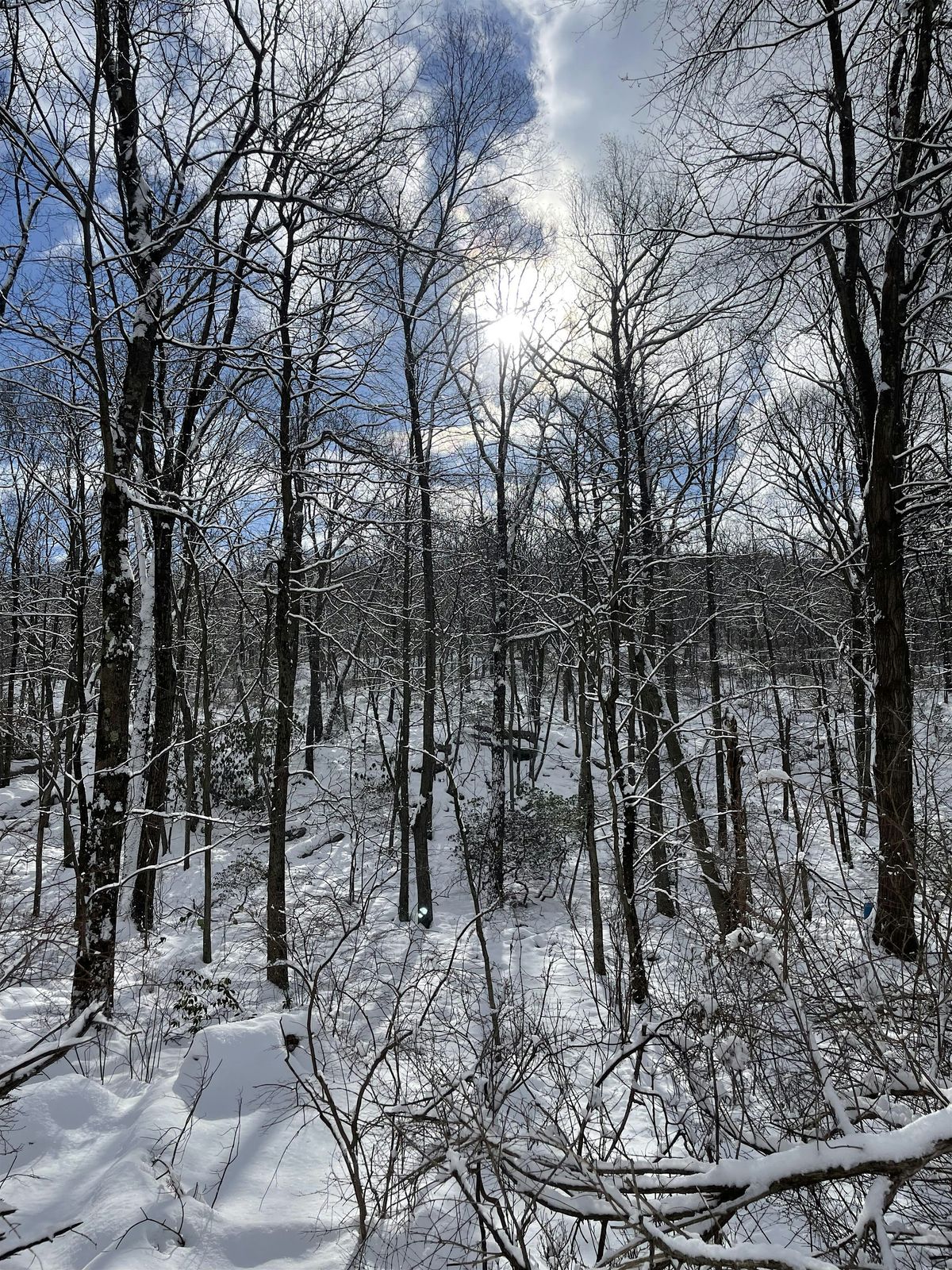 2025 Winter Family Wilderness Skills Weekend, January 31 to February 2nd