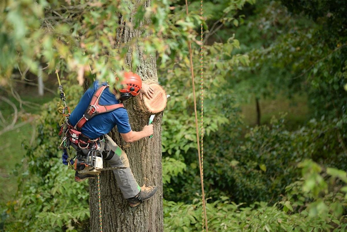 Arborist Training - Lansing, Michigan