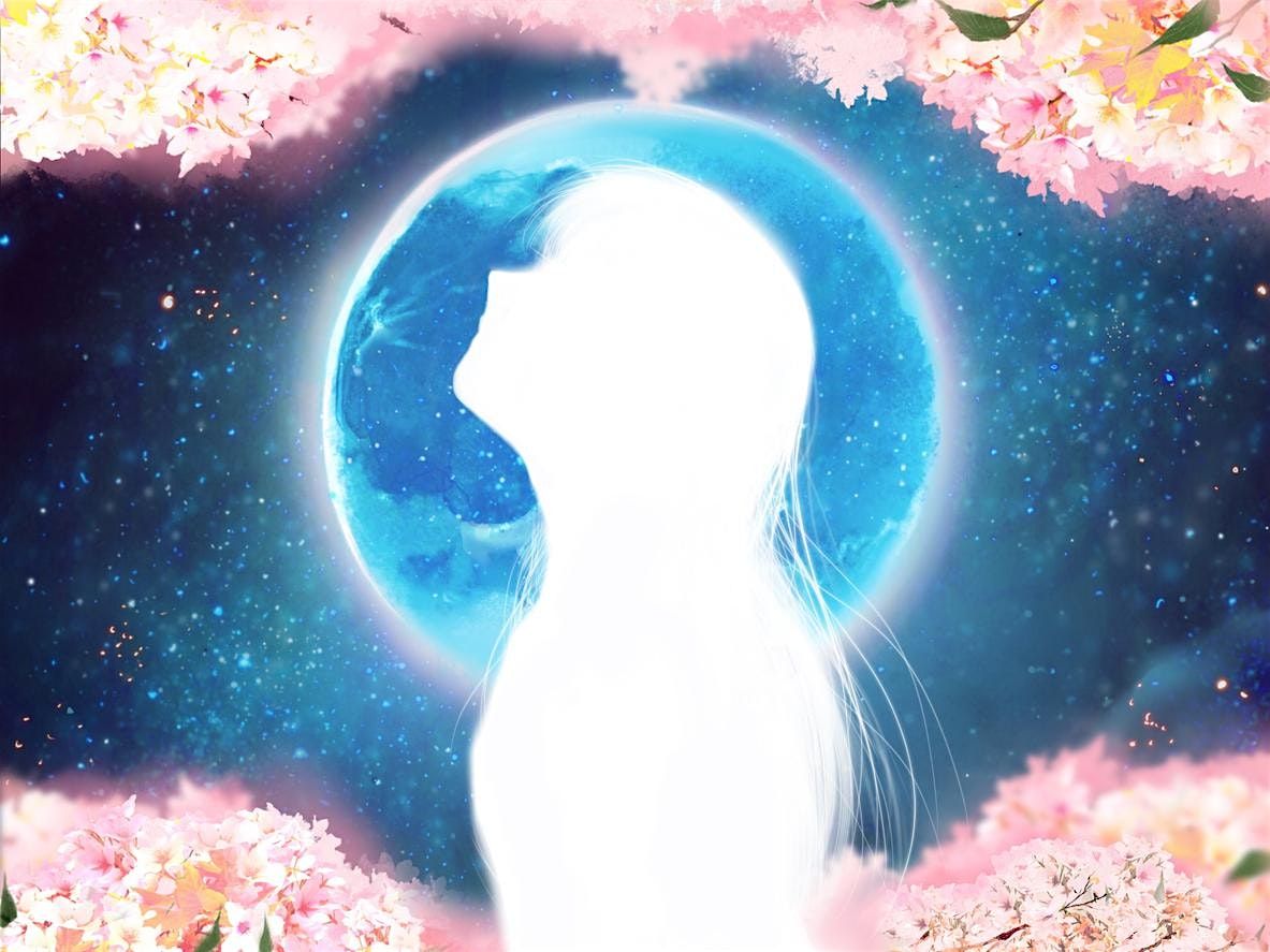 Shadow Work: Healing the Wounds of the Soul with Shay