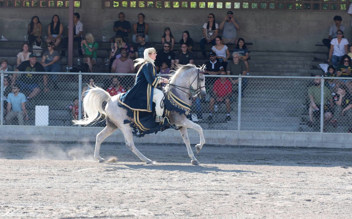 November 2025 Sunday Horse Show