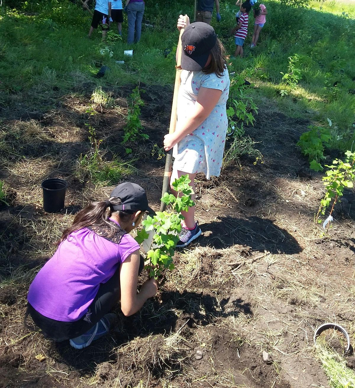 MacKay Creek Planting Event