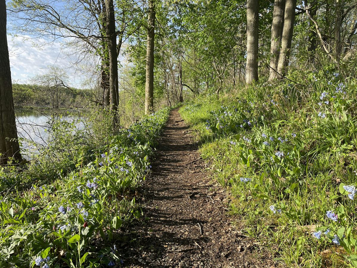 2025 Spring Nature Journaling at Prophetstown State Park-April