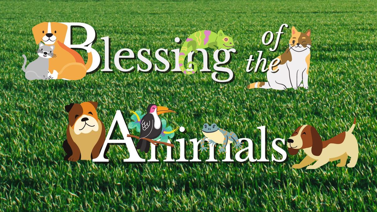 St. Augustine's Blessing of the Animals