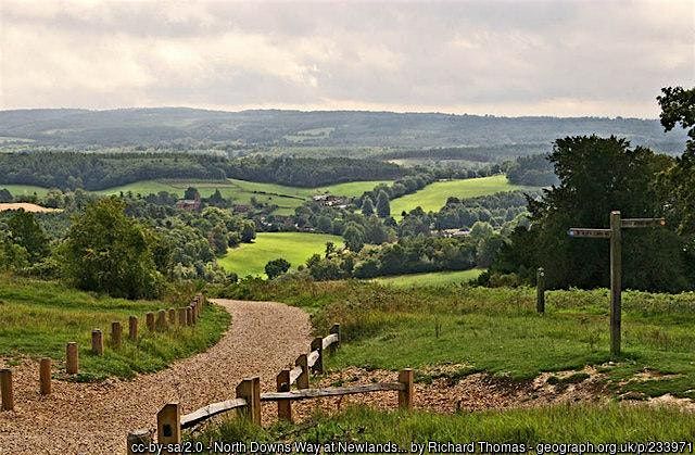 Surrey Hills Scenic Nordic Walk (St Martha's and Newlands Corner)