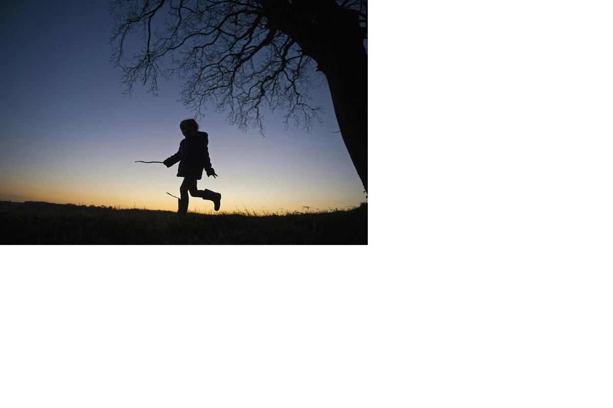 Family Event: A Wilder Christmas at Tyland Barn