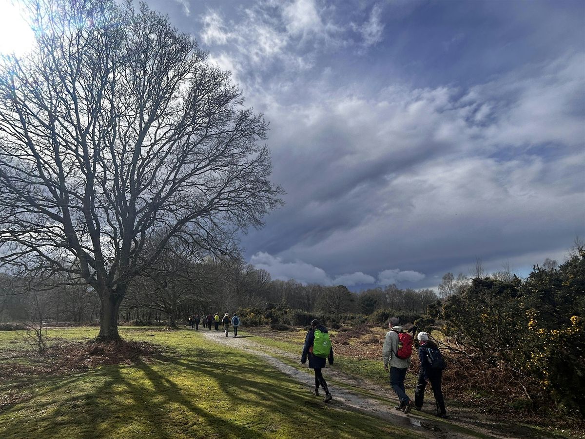 Season of mist and mellow Winchester hike and Christmas market - 18km