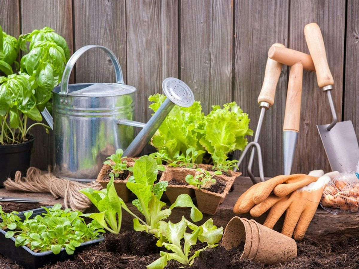 Gardening Discussion Group