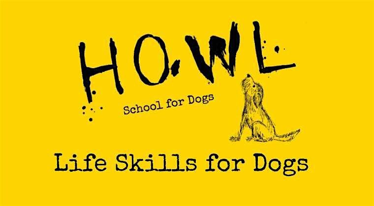 Life Skills for Dogs in the Real World