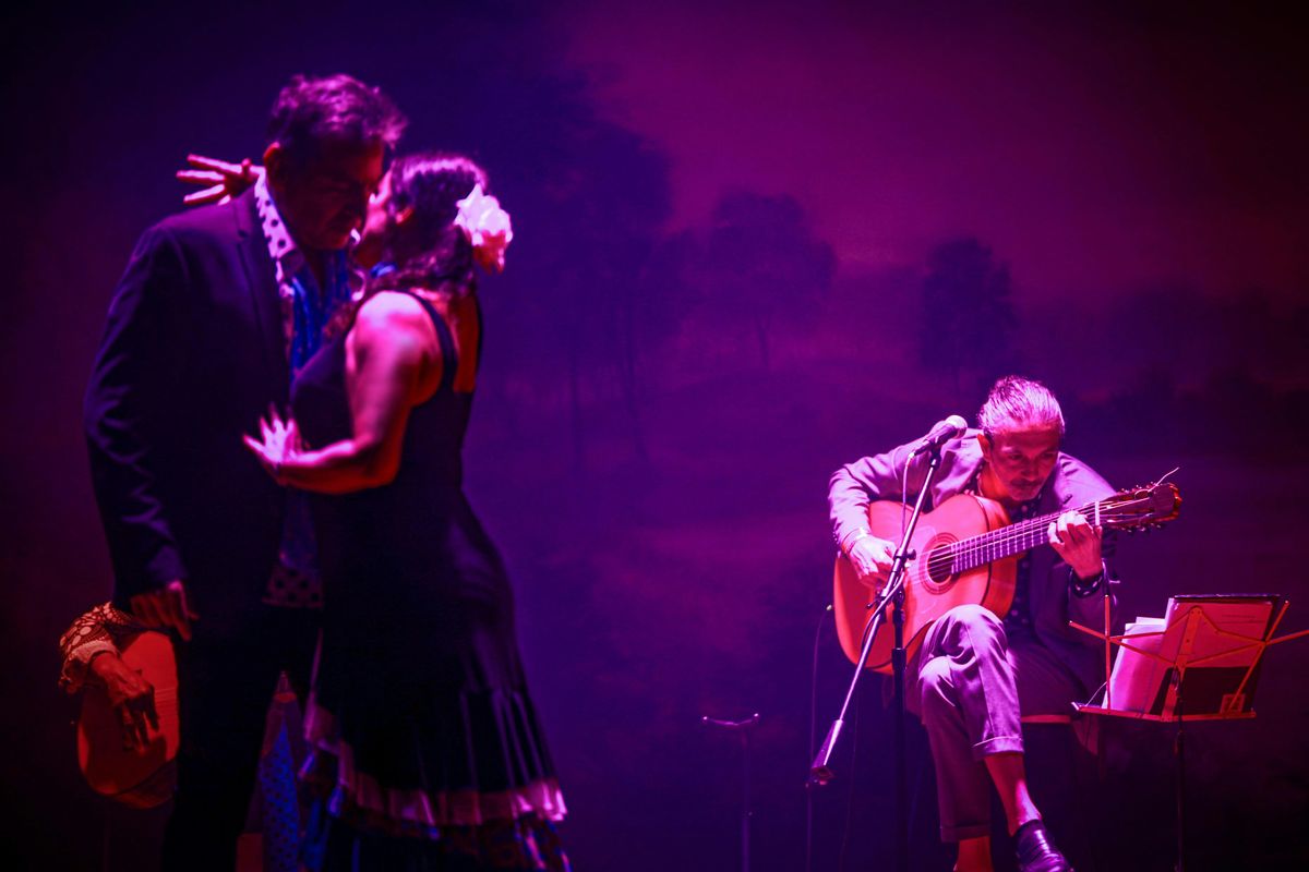 Intimate Valentine's Tablao - International Flamenco Dance and Musicians