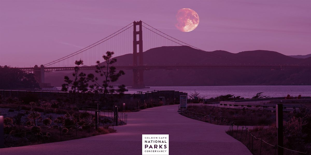 Parks4All: Pink Full Moon Party