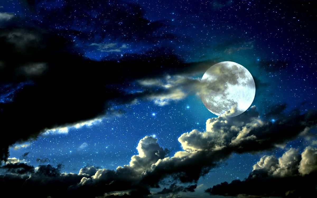 Moonlight Hike