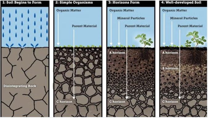 4th Saturday Nature Talk: Rocks, Soils, and Plants