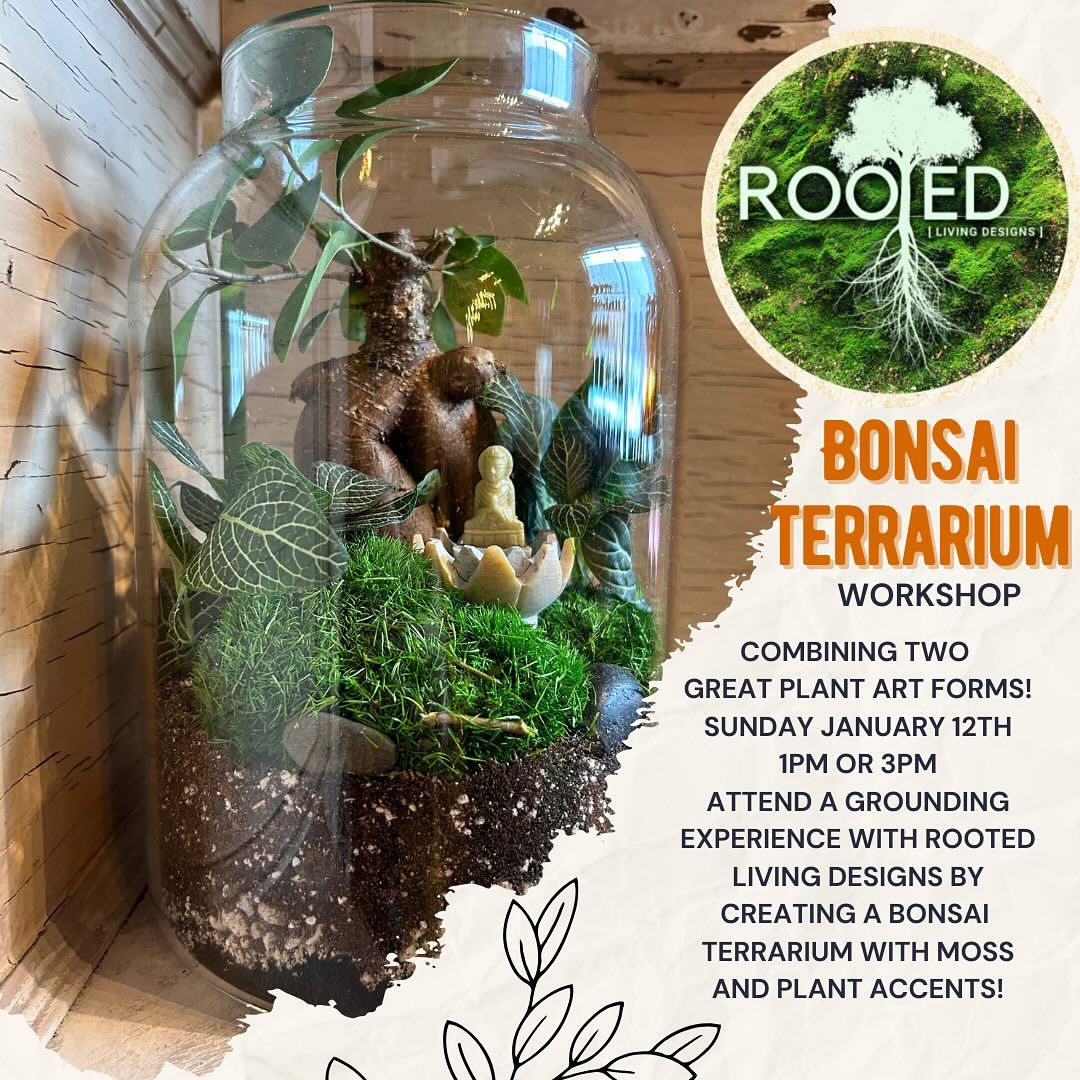 Bonsai Terrarium Workshop