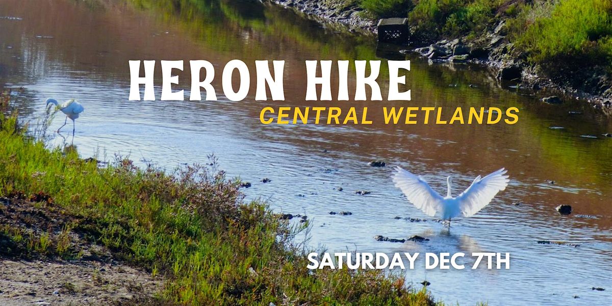 Los Cerritos Wetlands Nature Walk : Heron Hike