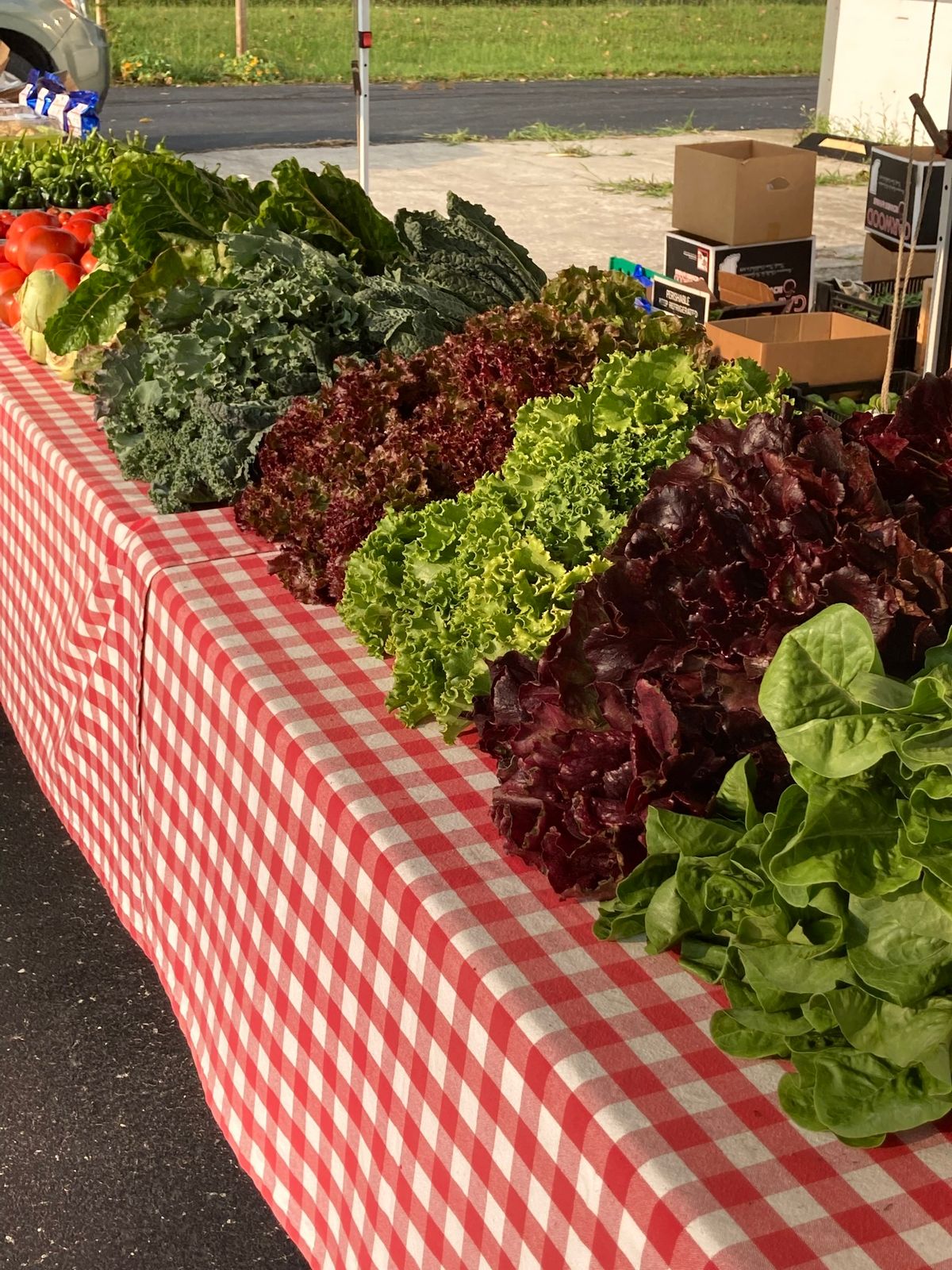 Farmer's Market 